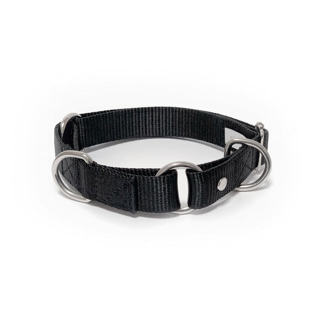 martingale collar