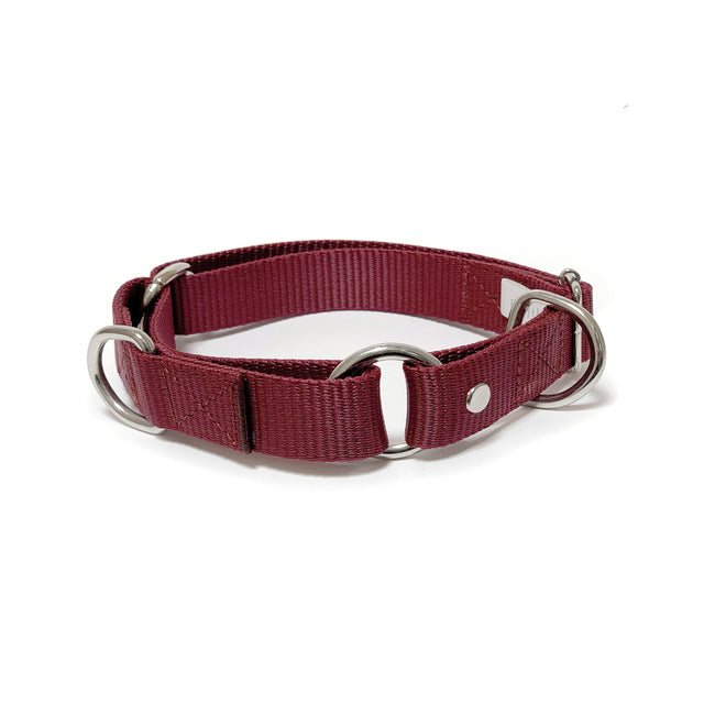 martingale collar