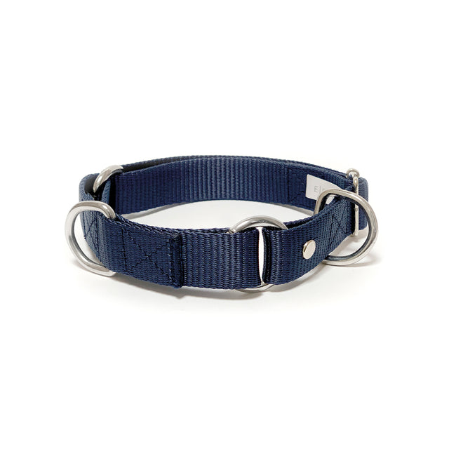 martingale collar