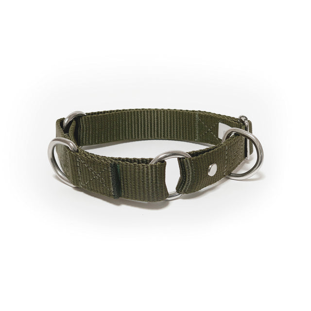 martingale collar