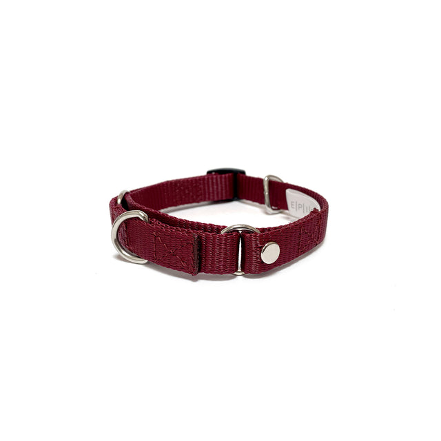 martingale collar