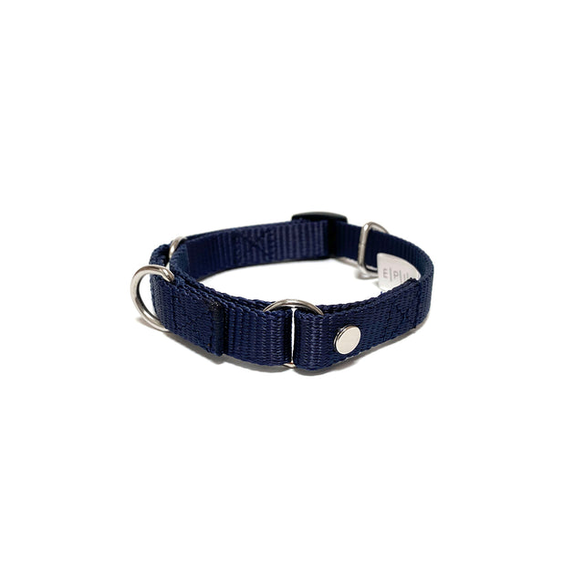 martingale collar