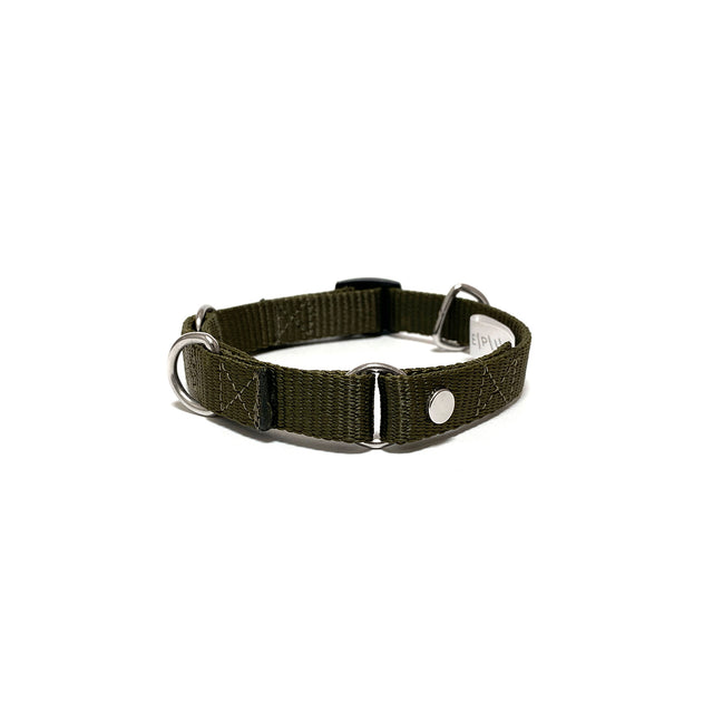 martingale collar