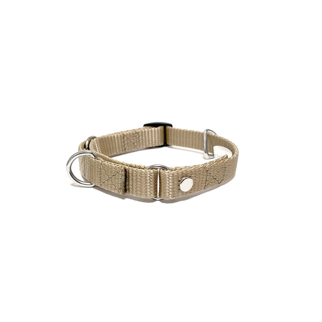 martingale collar