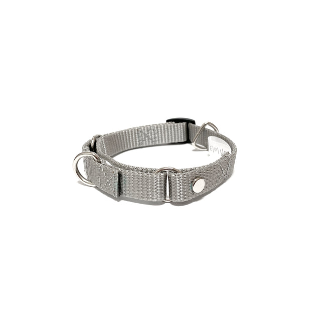 martingale collar